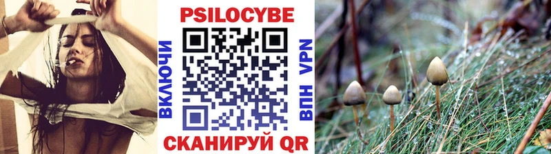 MEGA как зайти  Тотьма  Галлюциногенные грибы мухоморы 